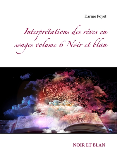 Picture of Interprétations des rêves en songes volume 6 Noir et blan