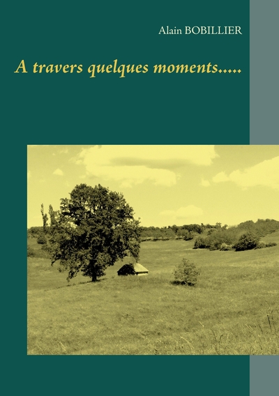 Picture of A travers quelques moments.....