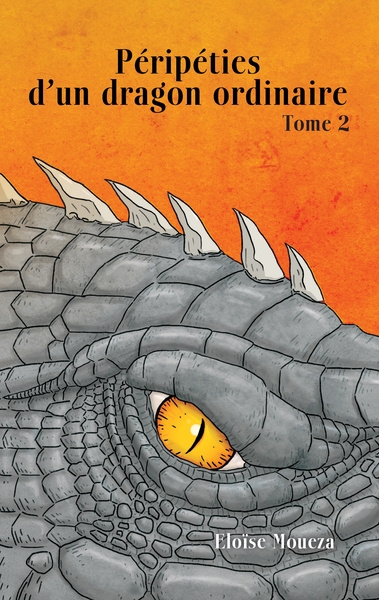 Image de Péripéties d'un dragon ordinaire II