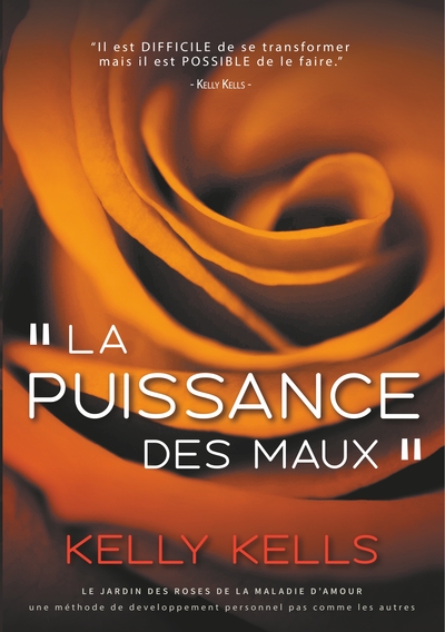 Picture of La puissance des maux