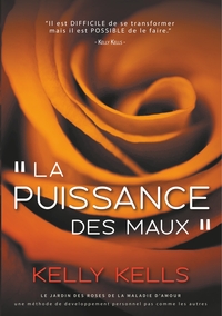 Picture of La puissance des maux