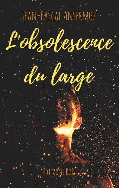 Picture of L'obsolescence du large