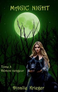 Image de Magic night