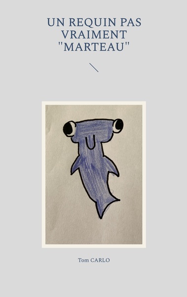 Image de Un requin pas vraiment "marteau"