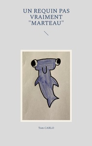 Image de Un requin pas vraiment "marteau"