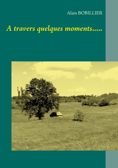 Picture of A travers quelques moments.....