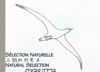Image de Natural Selection