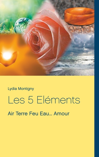 Picture of Les 5 Eléments