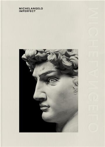 Picture of Michelangelo Imperfect /anglais