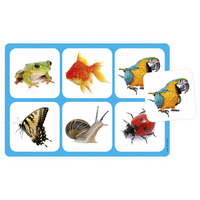 Picture of Maxiloto animaux