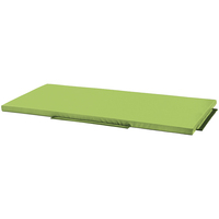 Image de Petit tapis de réception vert clair