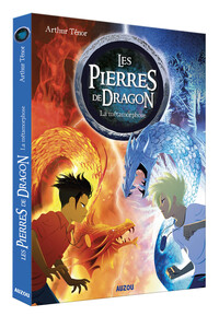 Picture of LES PIERRES DE DRAGON TOME 1 - LA MÉTAMORPHOSE