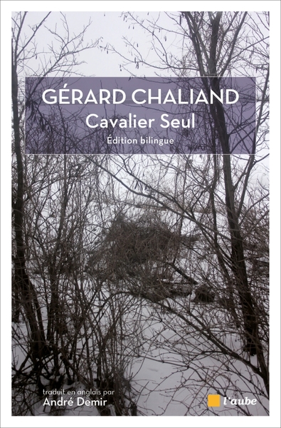 Picture of CAVALIER SEUL bilingue français/anglais