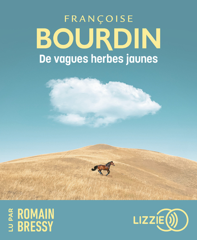 Image de De vagues herbes jaunes