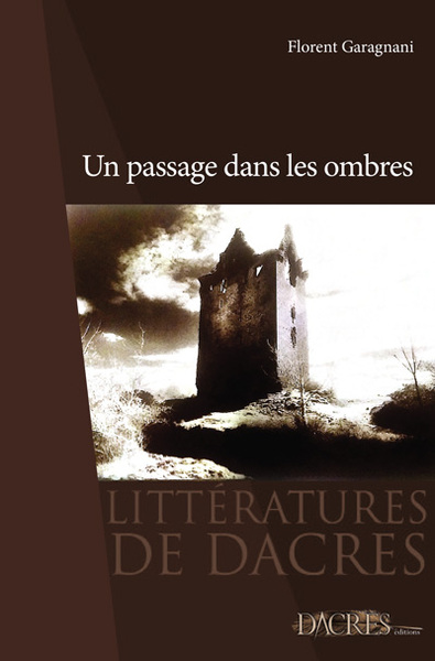 Picture of Un passage dans les ombres