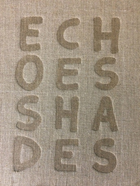 Picture of Echoes Shades