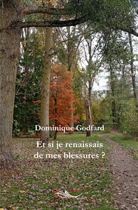Image de Et si je renaissais de mes blessures