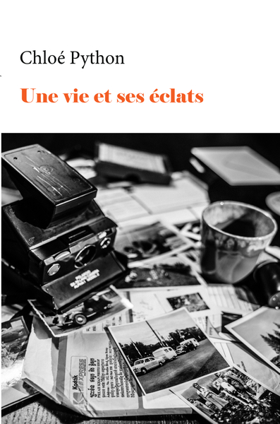 Image de Une vie et ses éclats