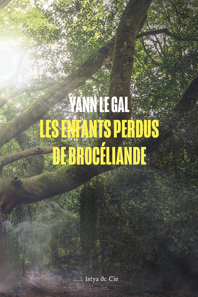 Image de Les enfants perdus de Brocéliande
