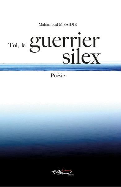 Picture of Toi, le guerrier silex