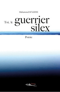 Picture of Toi, le guerrier silex