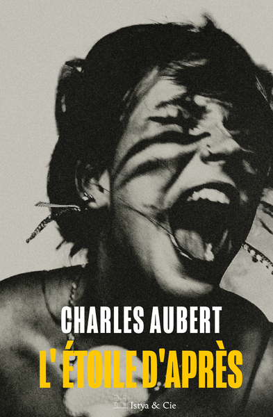 Picture of L'étoile d'après