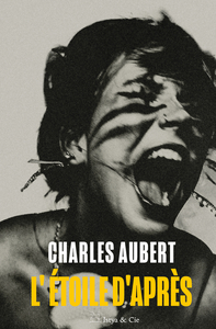 Picture of L'étoile d'après