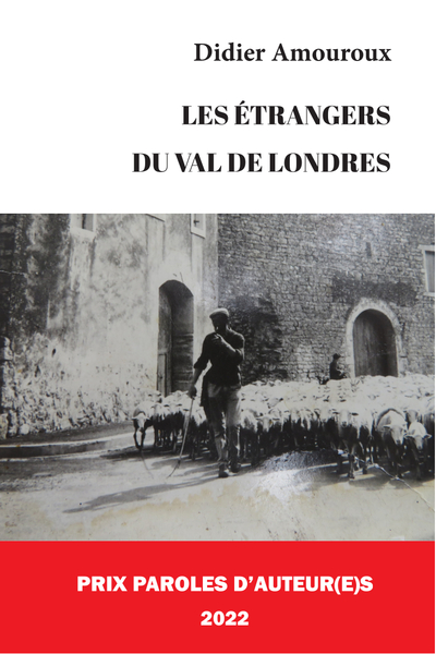Image de Les étrangers du Val de Londres