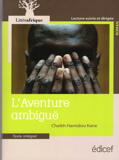 Image de L'aventure ambiguë