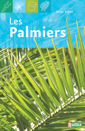 Image de Les palmiers