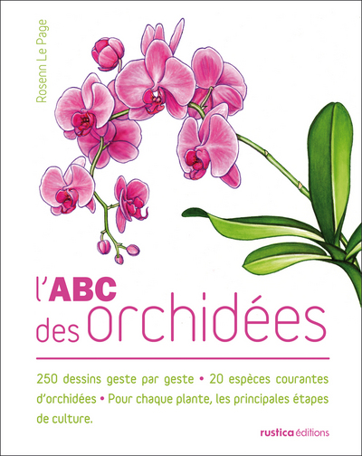 Picture of L'ABC des orchidées