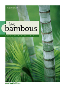 Image de Les bambous