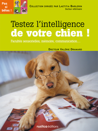 Picture of Testez l'intelligence de votre chien !