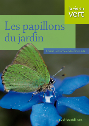 Image de Les papillons du jardin