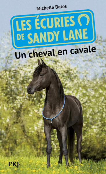 Picture of Les écuries de Sandy Lane - numéro 7 Un cheval en cavale