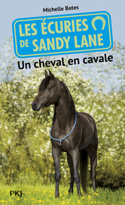 Picture of Les écuries de Sandy Lane - numéro 7 Un cheval en cavale