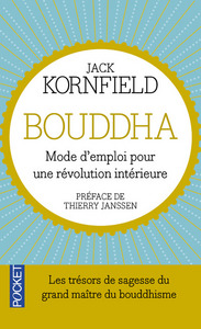 Picture of Bouddha