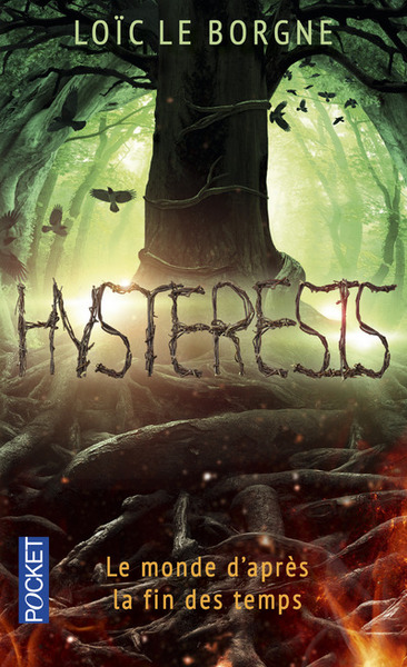 Image de Hysteresis