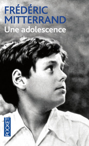 Image de Une adolescence