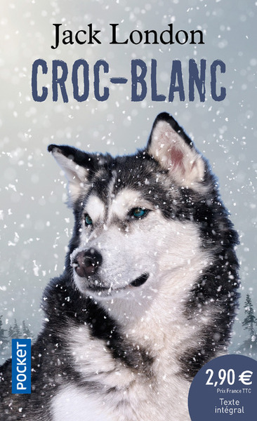 Picture of Croc-Blanc