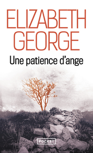 Picture of Une patience d'ange