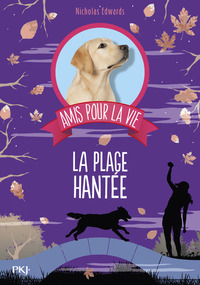 Image de Amis pour la vie - tome 3 La Plage hantée