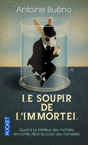 Image de Le soupir de l'immortel