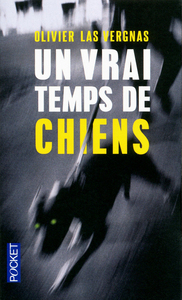 Image de Un vrai temps de chiens