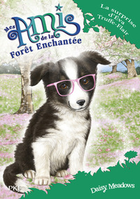 Image de Mes amis de la forêt enchantée - tome 10 La surprise d'Eva Truffe-Flair