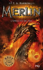 Image de Merlin - tome 3 L'épreuve du feu