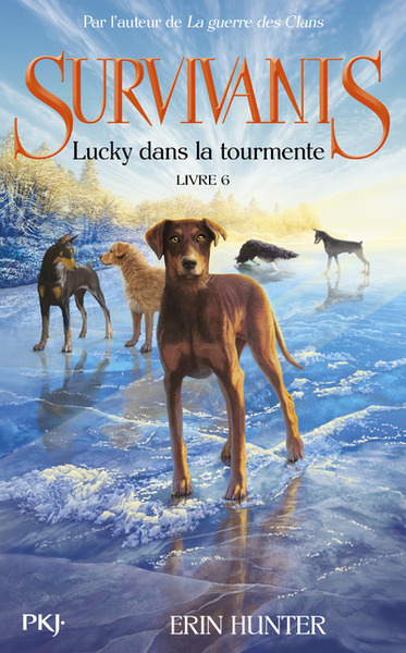 Picture of Survivants - tome 6 Lucky dans la tourmente