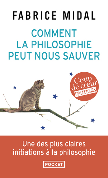 Picture of Comment la philosophie peut nous sauver