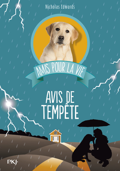 Picture of Amis pour la vie - tome 2 Avis de tempête