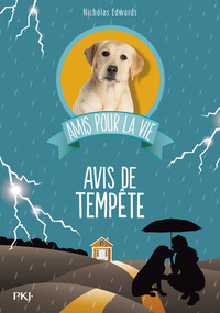 Picture of Amis pour la vie - tome 2 Avis de tempête